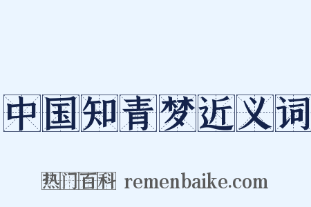 中国知青梦近义词是什么意思的图片